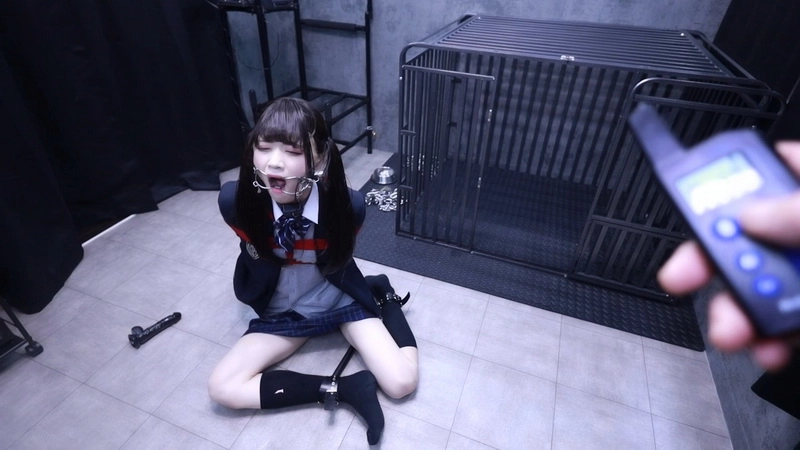 Lemon-043 - Uniform Electric Collar